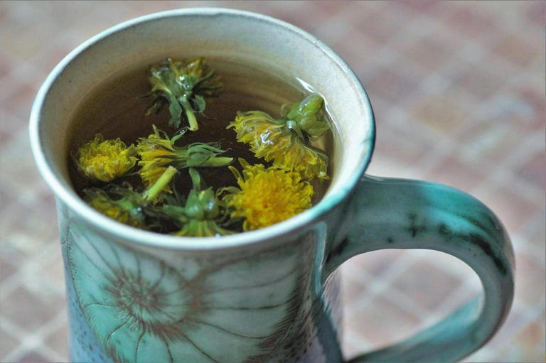 Dandelion, Tanaman Liar Bantu Bersihkan Ginjal Secara Alami